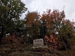 -北京鹫峰国家森林公园