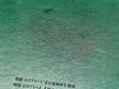 -直隶安家罩饼(复兴路店)
