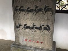 -上海醉白池公园