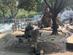 -成都动物园