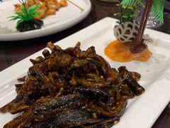 -老克勒上海菜(南京路步行街店)