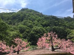 -罗田天堂寨风景区