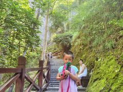 -雁荡山三折瀑景区