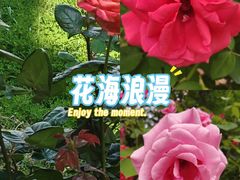 -南京邮电大学(仙林校区)