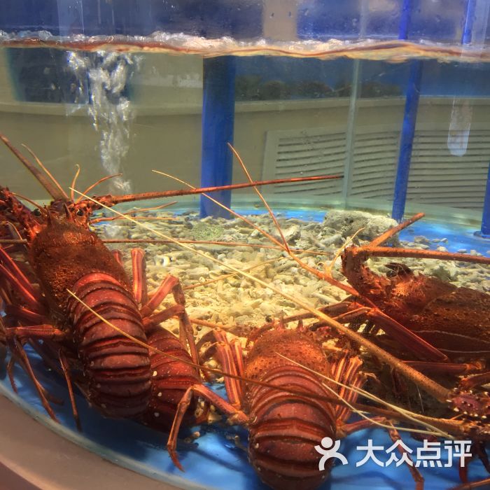 海中鲜酒楼-图片-西安美食-大众点评网