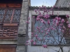 -芥子园