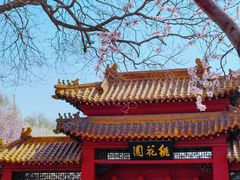 -桃花堤公园