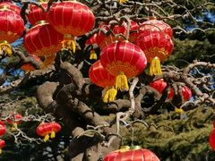 -香山公园