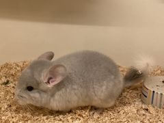 -龙猫仔乐园(惠福东路店)