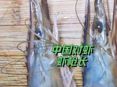 渤海湾大对虾-燕春楼(海河华鼎店)