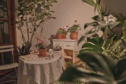 -芳香乐府疗愈空间·SPA·冥想