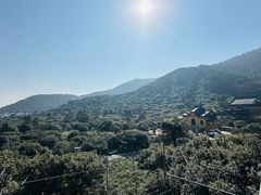 -树山生态村