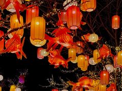 -龙湖星悦荟(颐和店)