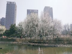 -长白岛森林公园