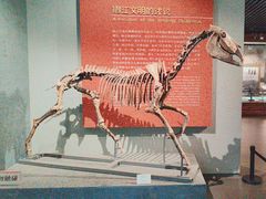 -齐齐哈尔市博物馆