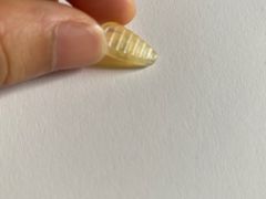 -肆兮眼镜·蔡司·徕卡战略合作店(大坪店)