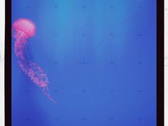 -南昌融创海世界