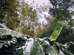 -天目湖涵田半山温泉