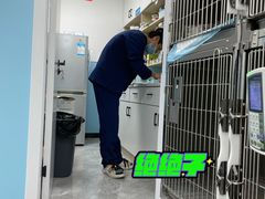 -贝康宠物医院·犬猫全科·小动物特色诊疗中心(东环路店)
