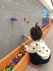 -泡泡米POPOME益智乐园(洪殿花园旗舰店)