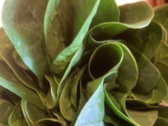 -南门四季铜锅涮肉(大屯·北苑店)