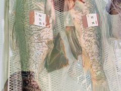 -宏顺佰渔庄(松花湖店)