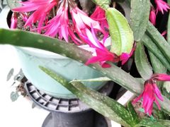 -纳家楼·地道陕菜(劳动路店)