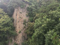 -北京鹫峰国家森林公园