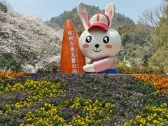 -杭州少年儿童公园
