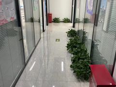 -新航道雅思托福·留学·考研培训(人民广场校区)