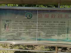 -御林古桑园
