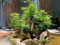 -森味薪火烧•烧鸟居酒屋•日本料理(望京店)