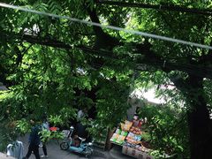 -清真盛志望麻酱酿皮·非遗老字号