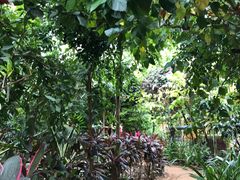 -呀路古热带植物园