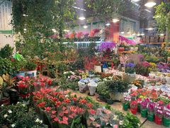 -双季花艺园艺市场(浦东店)