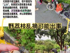 -长洲岛