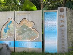 -梧桐山风景名胜区