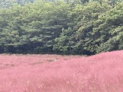 -昆嵛山石门里景区