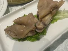 -丁老爷子苏香圆