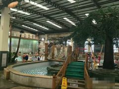 -南宫温泉水世界