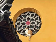 -西园戒幢律寺