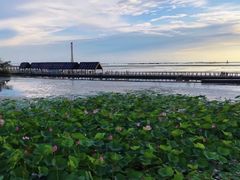 -滆湖低碳生态公园