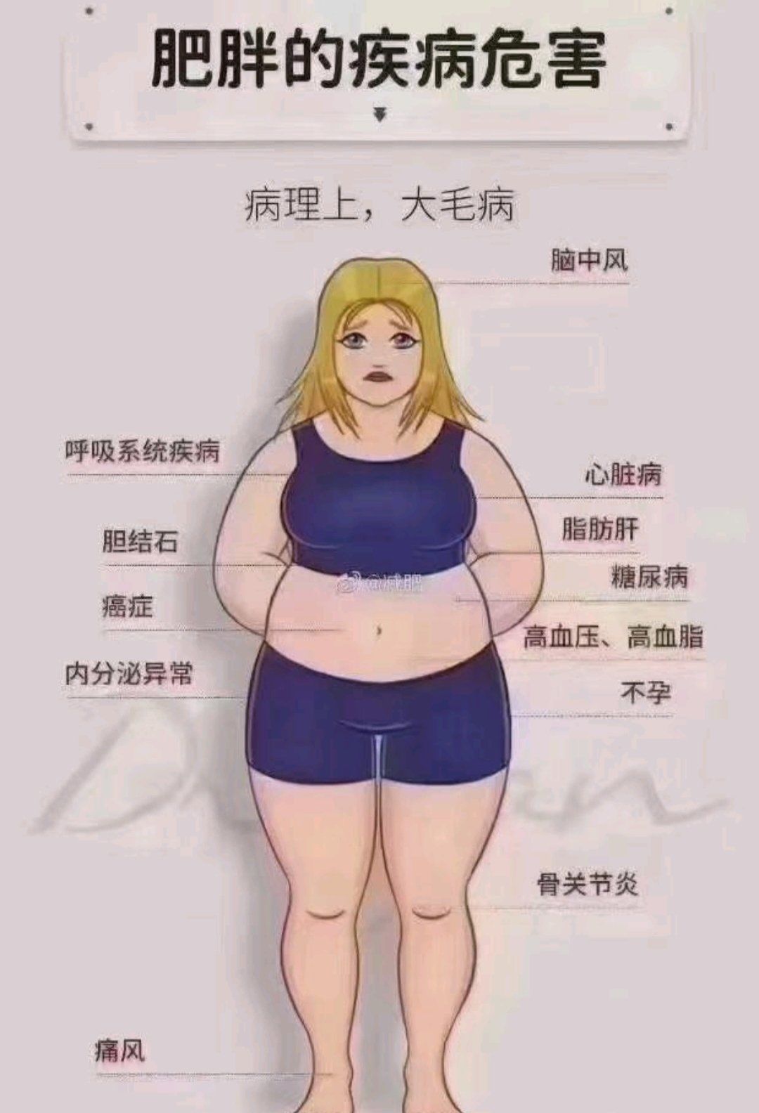 没有一个胖子是健康的