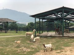 -无锡动物园·太湖欢乐园