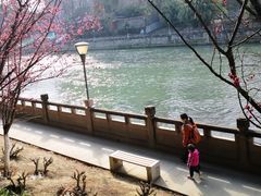 -望江楼公园