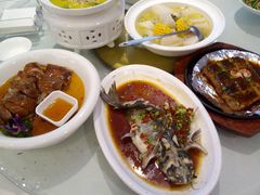 -金龙渔港(双楠店)