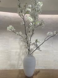-in BEAUTY法国原液之谜