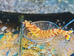 -协成海鲜火锅(海洋花园店)