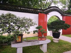 -上海醉白池公园