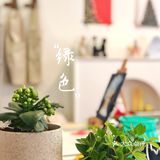 拾贰画事